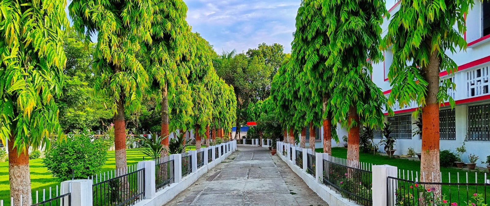 Welcome to Bihar B.Ed. Combined Entrance Test (CET-BED 2026)